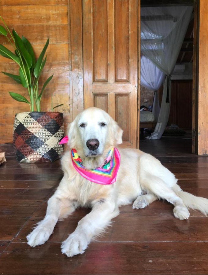 Ostello Karisa Pods Seminyak Esterno foto